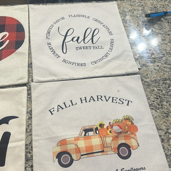 7 Miscellaneous pillow covers bundle 
Halloween / Fall
Christmas
Valentines Day - Picture 2 of 3